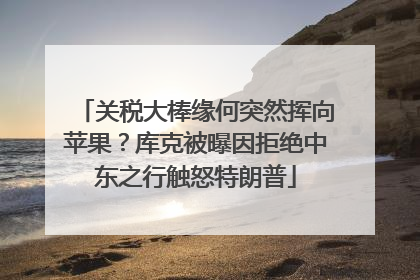 关税大棒缘何突然挥向苹果？库克被曝因拒绝中东之行触怒特朗普